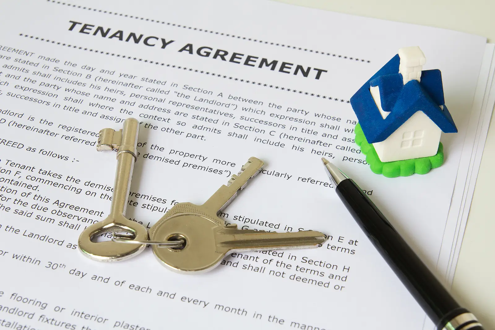 What Miami Tenants Really Want: Key Factors That Boost Retention